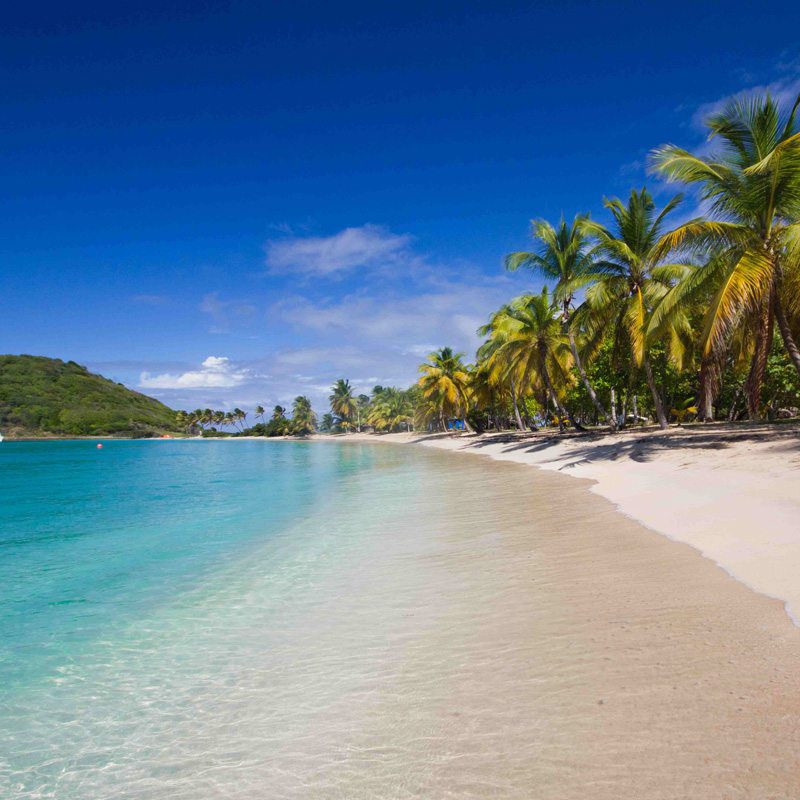 St Vincent & The Grenadines
